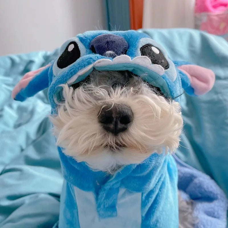 Déguisement Stitch Disney pour Chien Chat - Vêtement Animal Doux Hiver