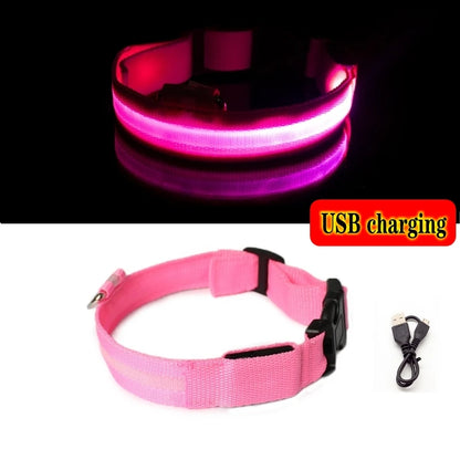 Collier LED Lumineux pour Chien Chat - Rechargeable USB Sécurité Nuit