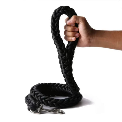 Laisse Durable en Nylon pour Chien – Solide et Confortable pour Chiens Moyens et Grands
