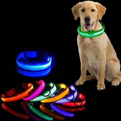 Collier LED Lumineux pour Chien Chat - Rechargeable USB Sécurité Nuit