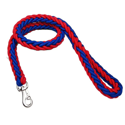 Laisse Durable en Nylon pour Chien – Solide et Confortable pour Chiens Moyens et Grands