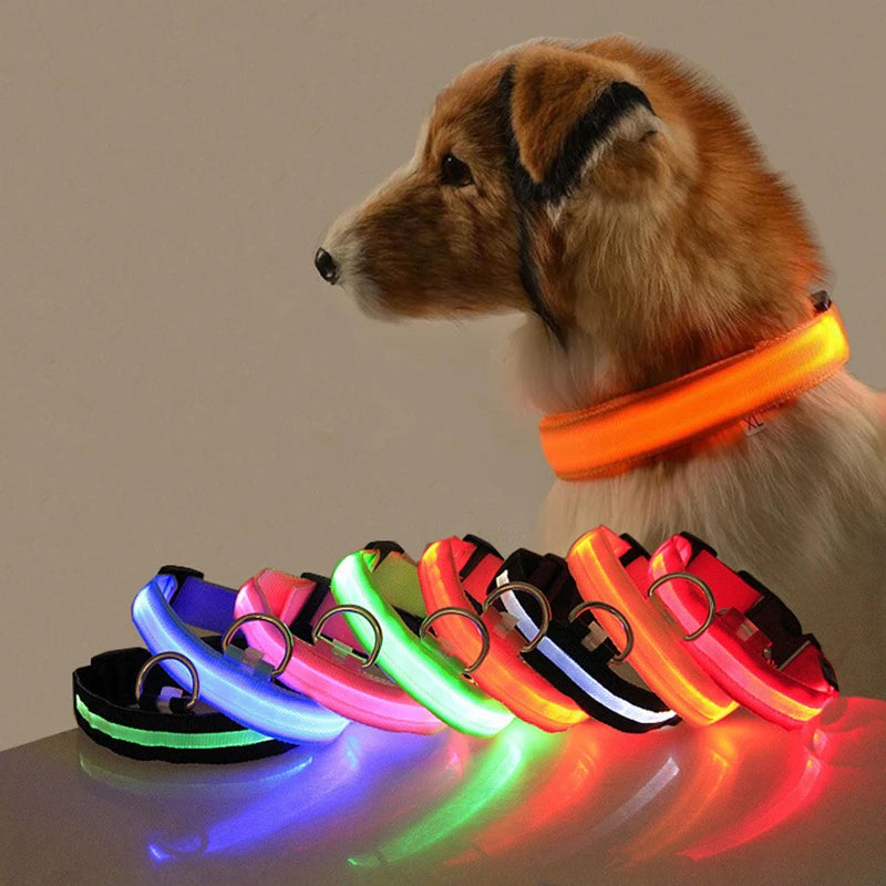 Collier LED Lumineux pour Chien Chat - Rechargeable USB Sécurité Nuit