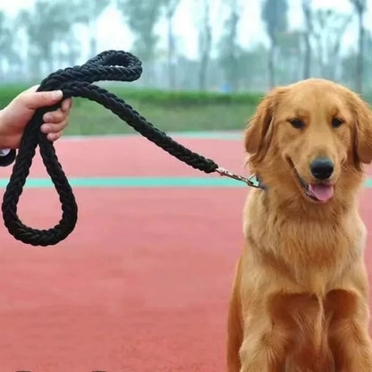 Laisse Durable en Nylon pour Chien – Solide et Confortable pour Chiens Moyens et Grands