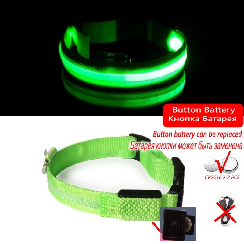 Collier LED Lumineux pour Chien Chat - Rechargeable USB Sécurité Nuit