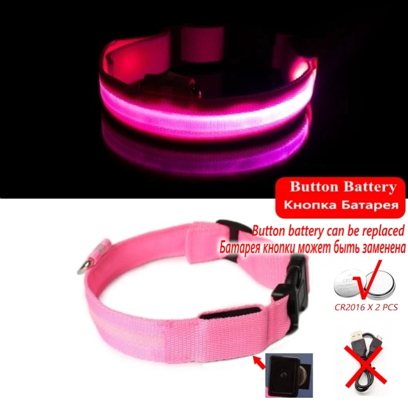 Collier LED Lumineux pour Chien Chat - Rechargeable USB Sécurité Nuit