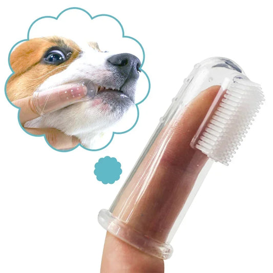 Brosse à dents pour chiens et chats