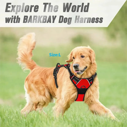 Harnais Gilet pour Chien Confortable, Solide et Ajustable pour Toutes les Tailles