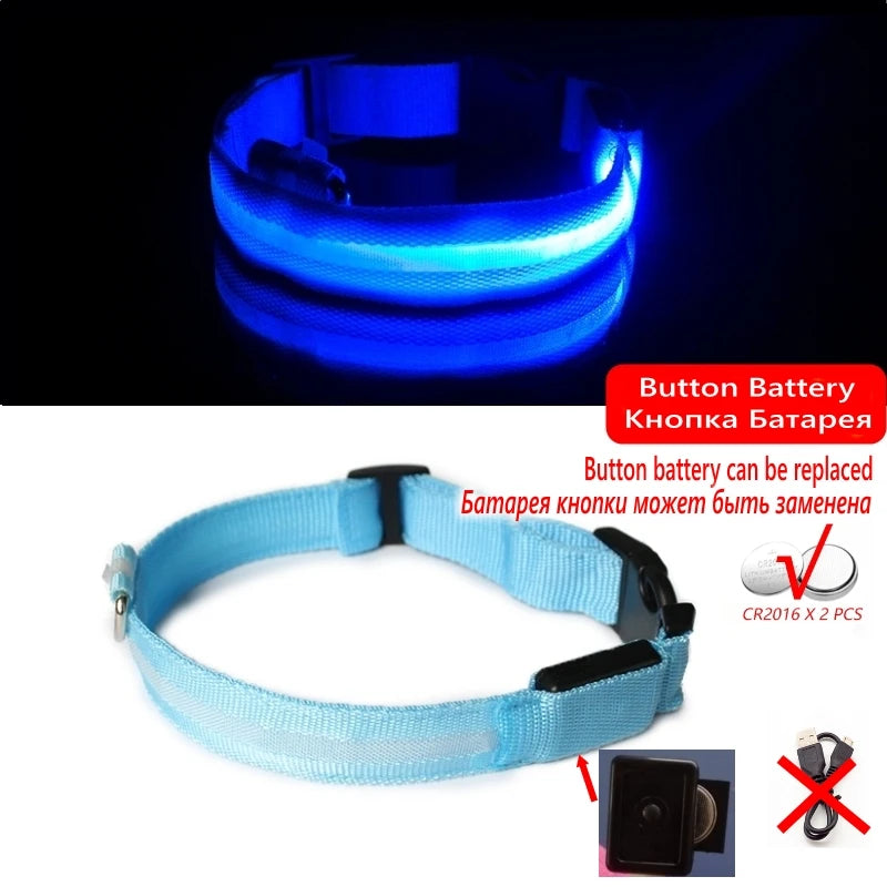 Collier LED Lumineux pour Chien Chat - Rechargeable USB Sécurité Nuit