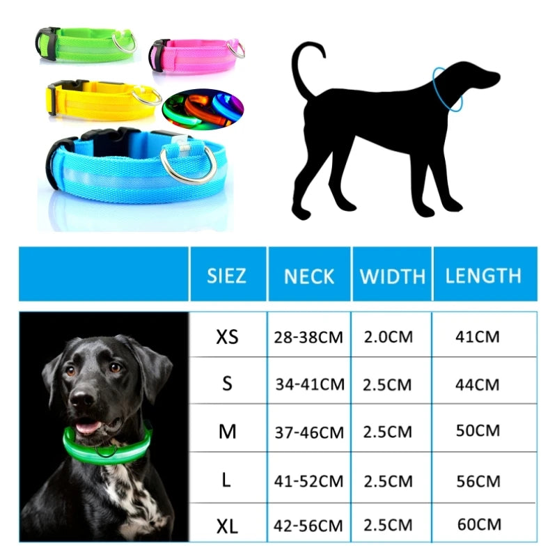 Collier LED Lumineux pour Chien Chat - Rechargeable USB Sécurité Nuit