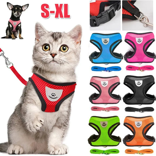 Harnais et Laisse Réfléchissants pour Chats et Chiens – Confort et Sécurité en Maille Respirante
