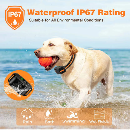 Collier d’entraînement électrique pour chien étanche avec télécommande WXRPET – Vibrations, bip et choc réglables