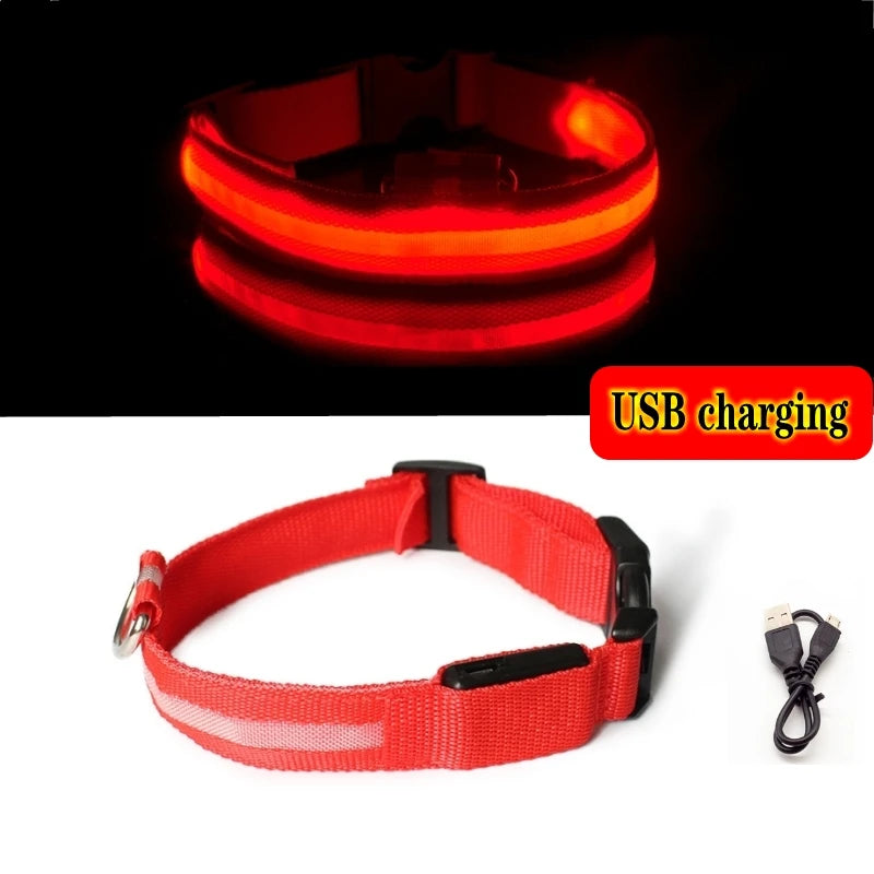 Collier LED Lumineux pour Chien Chat - Rechargeable USB Sécurité Nuit