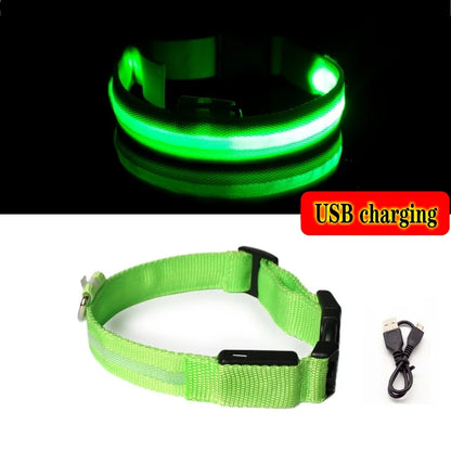 Collier LED Lumineux pour Chien Chat - Rechargeable USB Sécurité Nuit