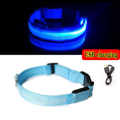 Collier LED Lumineux pour Chien Chat - Rechargeable USB Sécurité Nuit