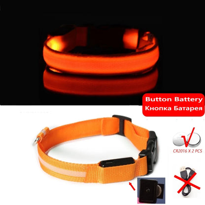 Collier LED Lumineux pour Chien Chat - Rechargeable USB Sécurité Nuit