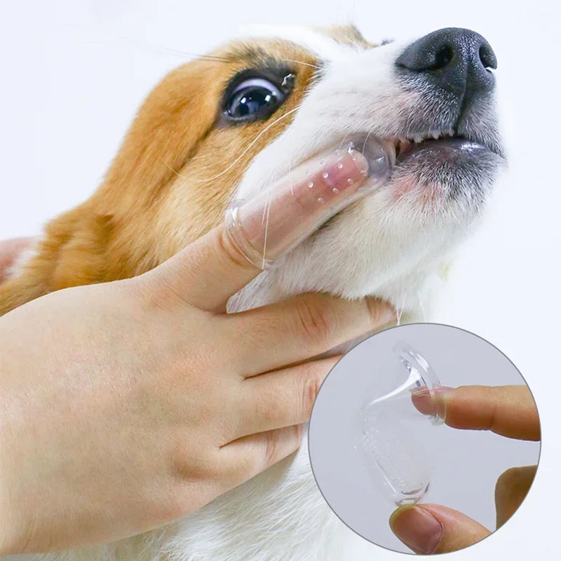 Brosse à dents pour chiens et chats