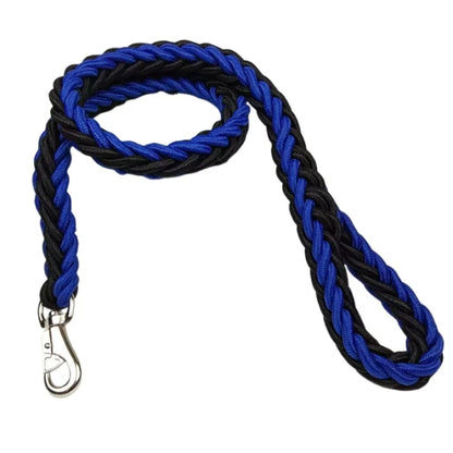 Laisse Durable en Nylon pour Chien – Solide et Confortable pour Chiens Moyens et Grands