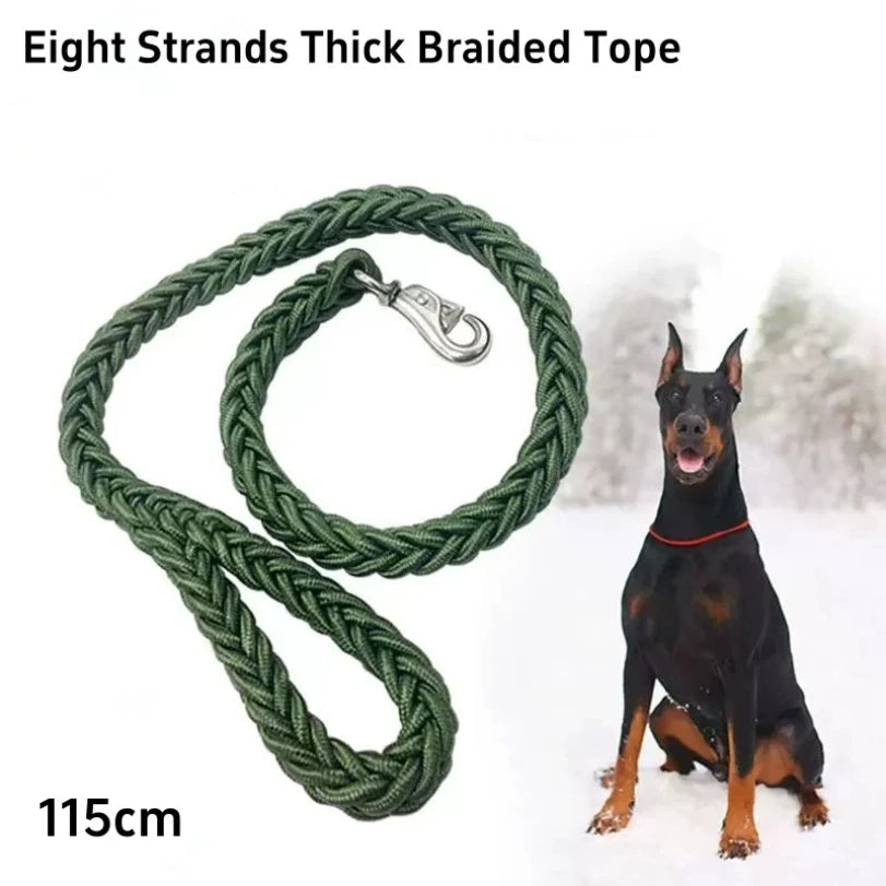 Laisse Durable en Nylon pour Chien – Solide et Confortable pour Chiens Moyens et Grands