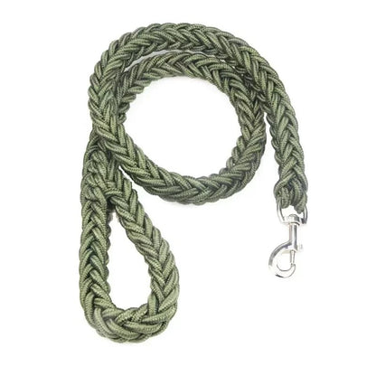 Laisse Durable en Nylon pour Chien – Solide et Confortable pour Chiens Moyens et Grands