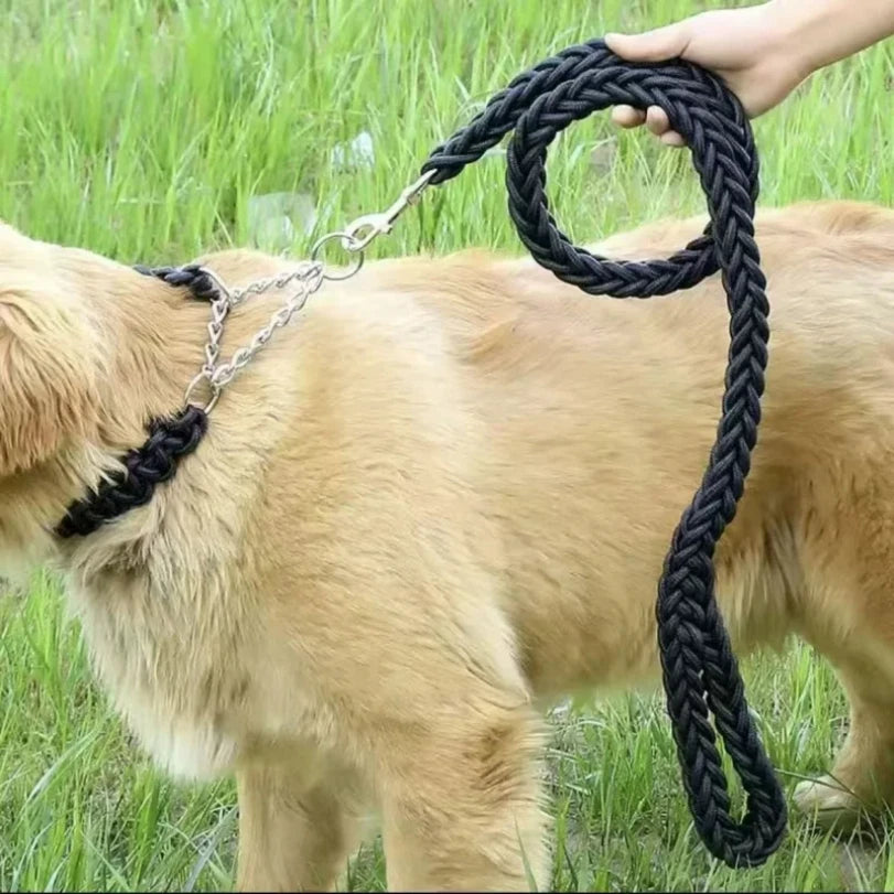 Laisse Durable en Nylon pour Chien – Solide et Confortable pour Chiens Moyens et Grands