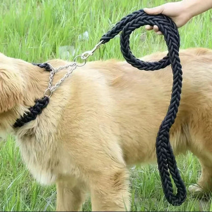 Laisse Durable en Nylon pour Chien – Solide et Confortable pour Chiens Moyens et Grands