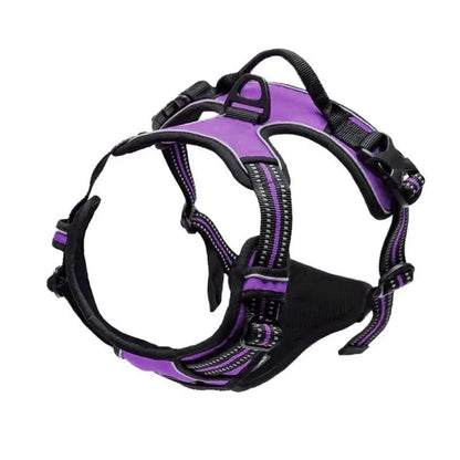 Harnais Gilet pour Chien Confortable, Solide et Ajustable pour Toutes les Tailles