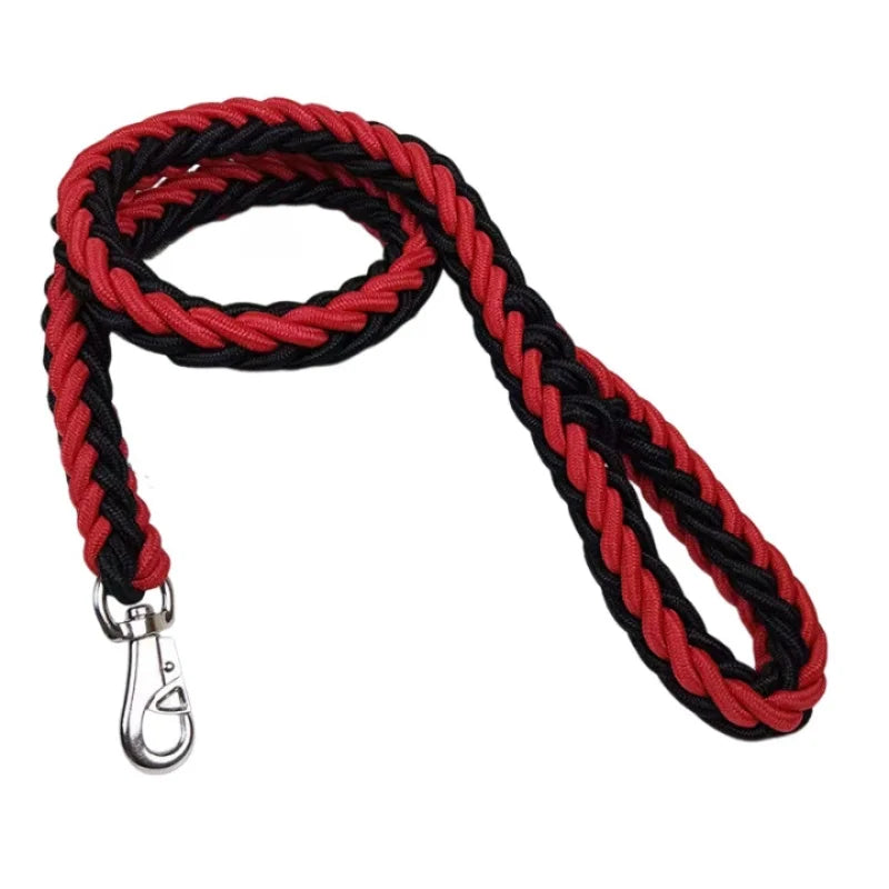 Laisse Durable en Nylon pour Chien – Solide et Confortable pour Chiens Moyens et Grands