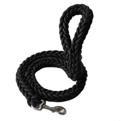 Laisse Durable en Nylon pour Chien – Solide et Confortable pour Chiens Moyens et Grands