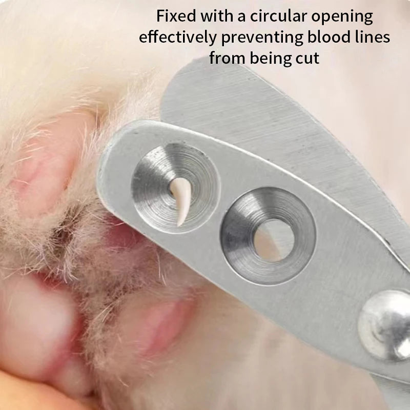 Coupe-ongles pour chats et petits animaux – Sûr, Précis et Ergonomique