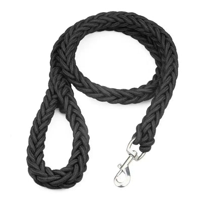 Laisse Durable en Nylon pour Chien – Solide et Confortable pour Chiens Moyens et Grands