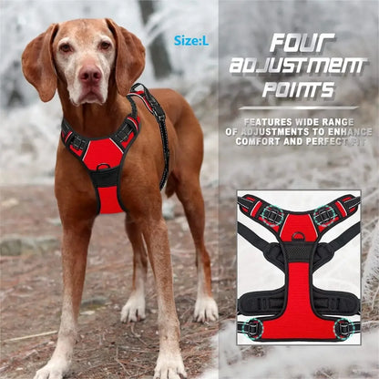 Harnais Gilet pour Chien Confortable, Solide et Ajustable pour Toutes les Tailles