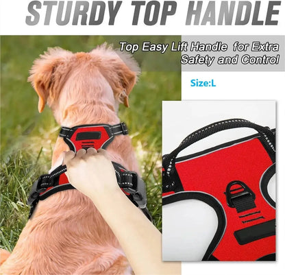 Harnais Gilet pour Chien Confortable, Solide et Ajustable pour Toutes les Tailles