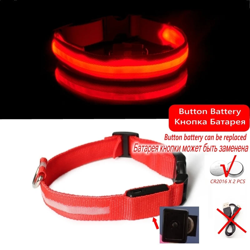 Collier LED Lumineux pour Chien Chat - Rechargeable USB Sécurité Nuit
