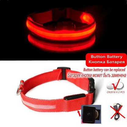 Collier LED Lumineux pour Chien Chat - Rechargeable USB Sécurité Nuit